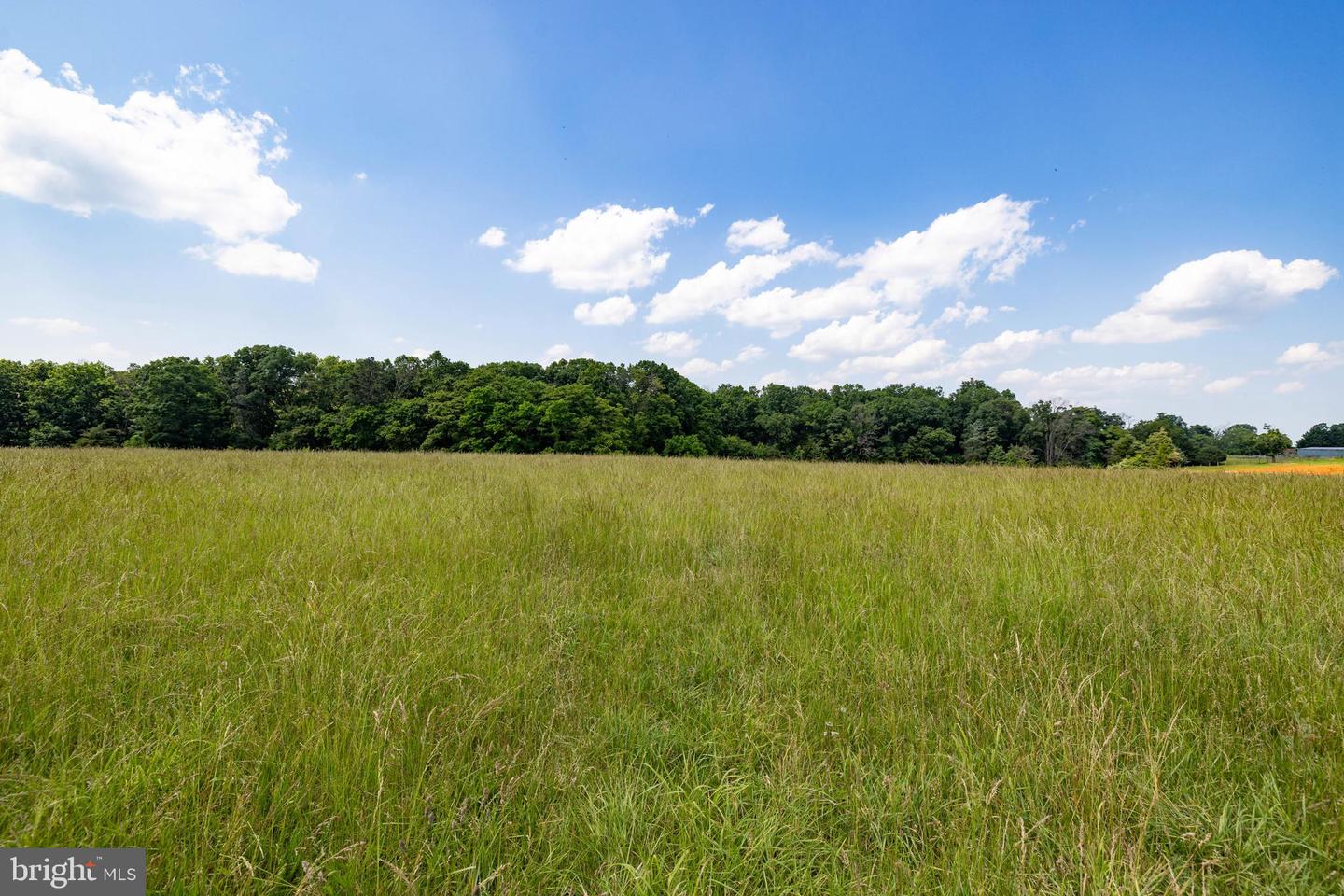 OFF SUNNYVIEW DR, RILEYVILLE, Virginia 22650, ,Land,For sale,OFF SUNNYVIEW DR,VAPA2005014 MLS # VAPA2005014