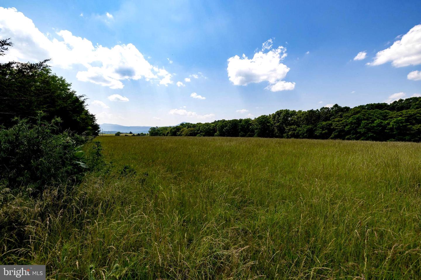 OFF SUNNYVIEW DR, RILEYVILLE, Virginia 22650, ,Land,For sale,OFF SUNNYVIEW DR,VAPA2005014 MLS # VAPA2005014