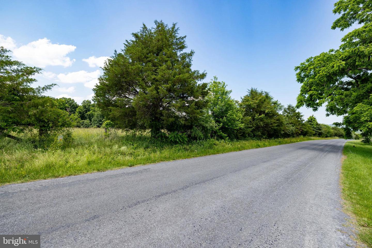 OFF SUNNYVIEW DR, RILEYVILLE, Virginia 22650, ,Land,For sale,OFF SUNNYVIEW DR,VAPA2005014 MLS # VAPA2005014