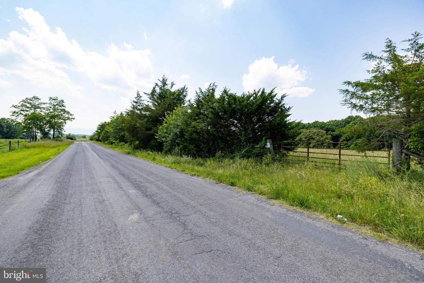 OFF SUNNYVIEW DR, RILEYVILLE, Virginia 22650, ,Land,For sale,OFF SUNNYVIEW DR,VAPA2005014 MLS # VAPA2005014
