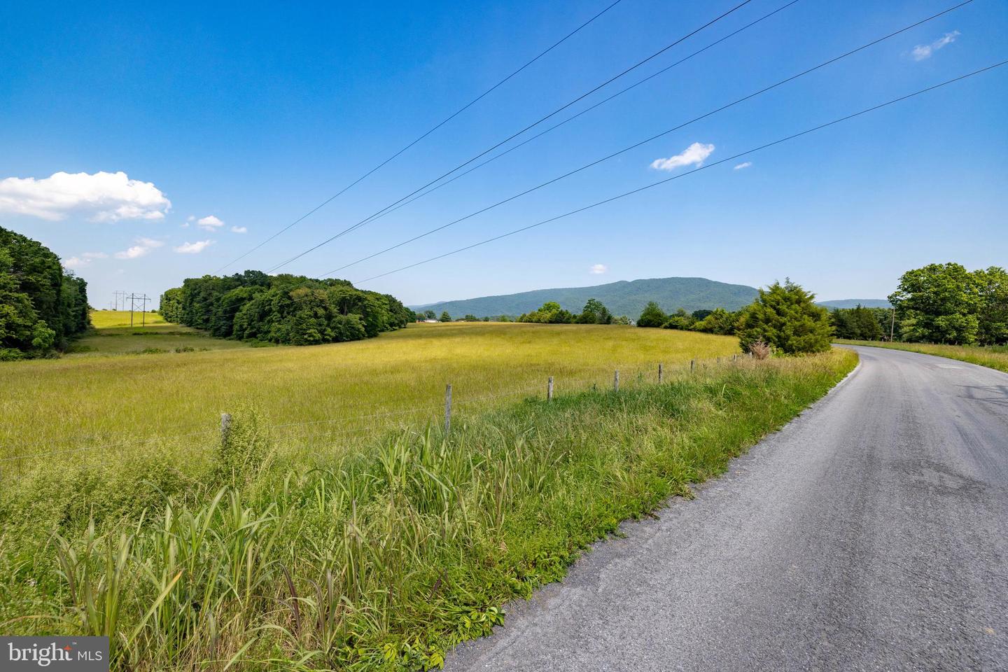 OFF SUNNYVIEW DR, RILEYVILLE, Virginia 22650, ,Land,For sale,OFF SUNNYVIEW DR,VAPA2005014 MLS # VAPA2005014