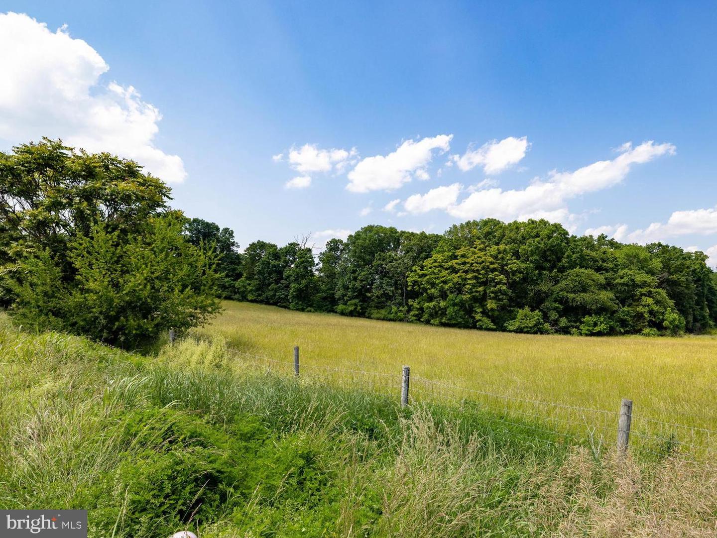OFF SUNNYVIEW DR, RILEYVILLE, Virginia 22650, ,Land,For sale,OFF SUNNYVIEW DR,VAPA2005014 MLS # VAPA2005014