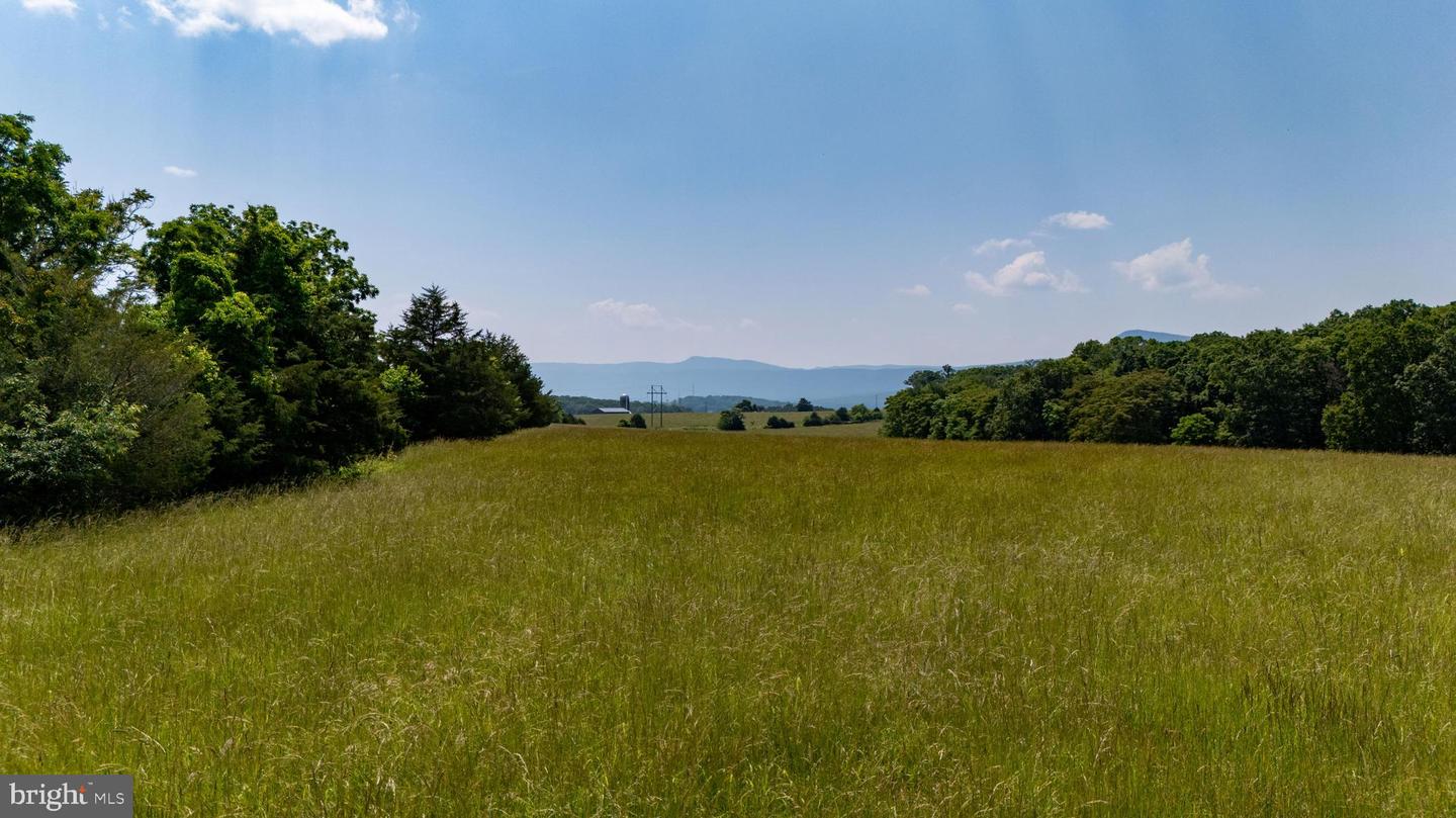 OFF SUNNYVIEW DR, RILEYVILLE, Virginia 22650, ,Land,For sale,OFF SUNNYVIEW DR,VAPA2005014 MLS # VAPA2005014