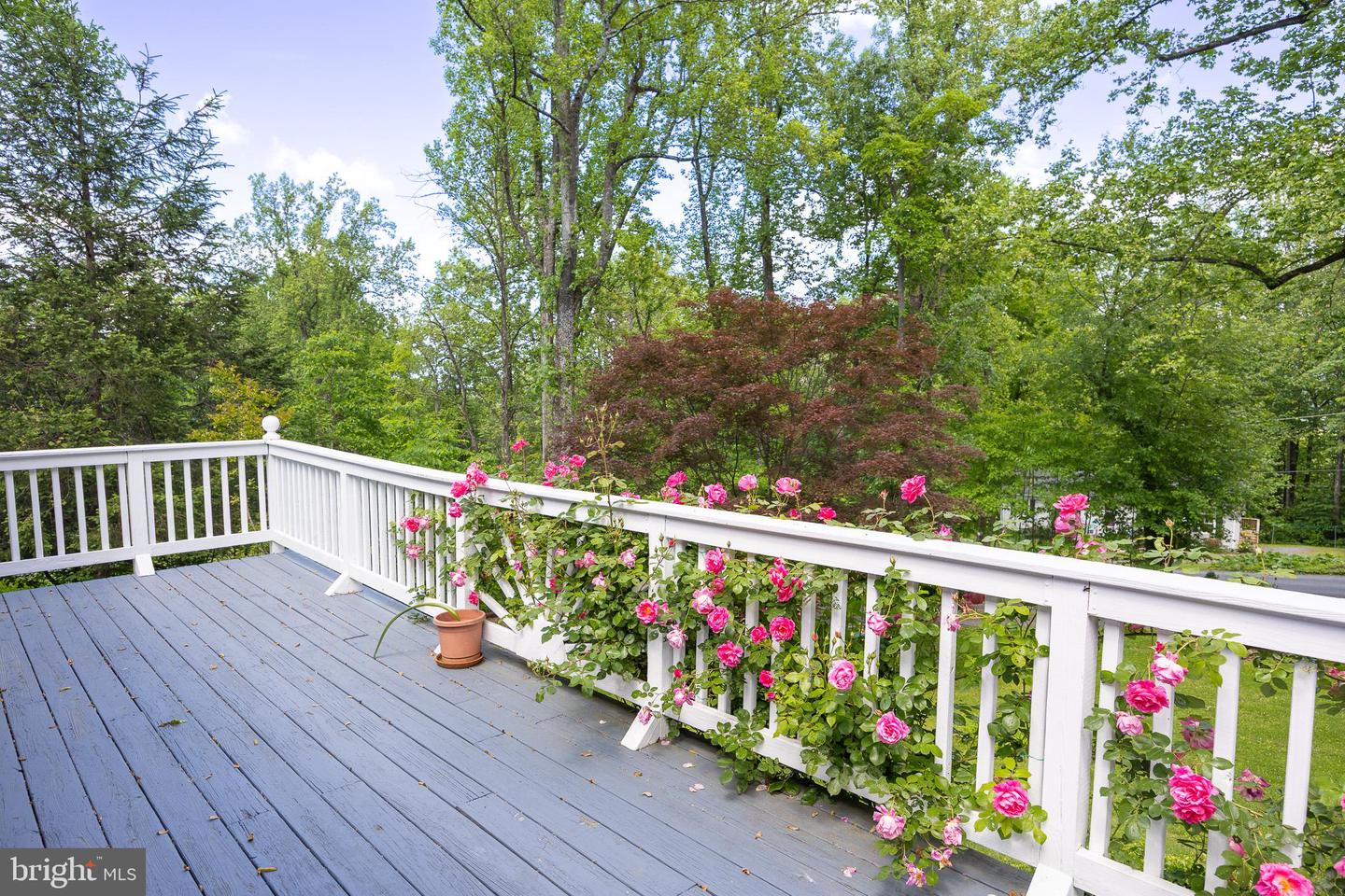 175 MOUNTAIN HEIGHTS RD, FRONT ROYAL, Virginia 22630, 2 Bedrooms Bedrooms, 9 Rooms Rooms,2 BathroomsBathrooms,Residential,For sale,175 MOUNTAIN HEIGHTS RD,VAWR2011142 MLS # VAWR2011142