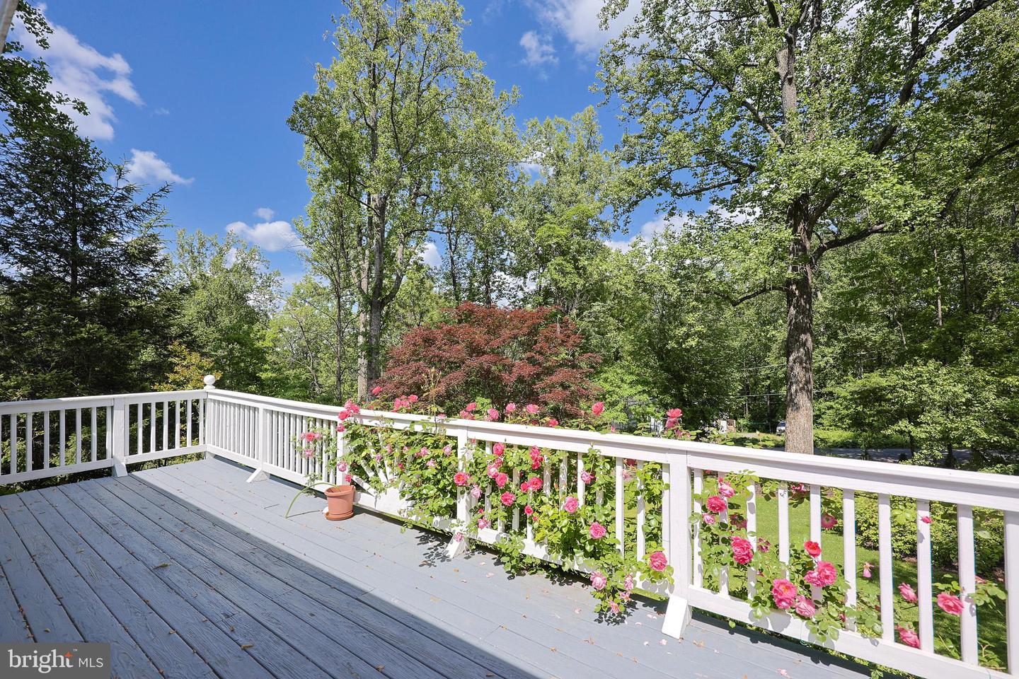 175 MOUNTAIN HEIGHTS RD, FRONT ROYAL, Virginia 22630, 2 Bedrooms Bedrooms, 9 Rooms Rooms,2 BathroomsBathrooms,Residential,For sale,175 MOUNTAIN HEIGHTS RD,VAWR2011142 MLS # VAWR2011142