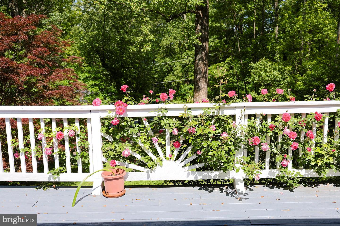 175 MOUNTAIN HEIGHTS RD, FRONT ROYAL, Virginia 22630, 2 Bedrooms Bedrooms, 9 Rooms Rooms,2 BathroomsBathrooms,Residential,For sale,175 MOUNTAIN HEIGHTS RD,VAWR2011142 MLS # VAWR2011142