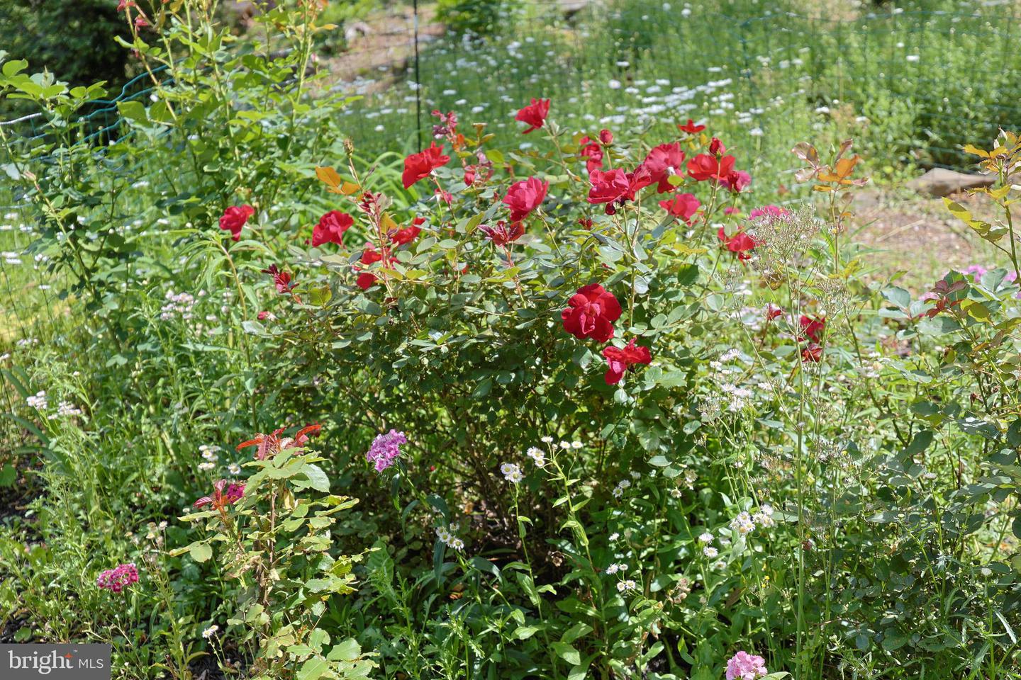 175 MOUNTAIN HEIGHTS RD, FRONT ROYAL, Virginia 22630, 2 Bedrooms Bedrooms, 9 Rooms Rooms,2 BathroomsBathrooms,Residential,For sale,175 MOUNTAIN HEIGHTS RD,VAWR2011142 MLS # VAWR2011142 175 MOUNTAIN HEIGHTS RD, FRONT ROYAL, Virginia 22630, 2 Bedrooms Bedrooms, 9 Rooms Rooms,2 BathroomsBathrooms,Residential,For sale,175 MOUNTAIN HEIGHTS RD,VAWR2011142 MLS # VAWR2011142