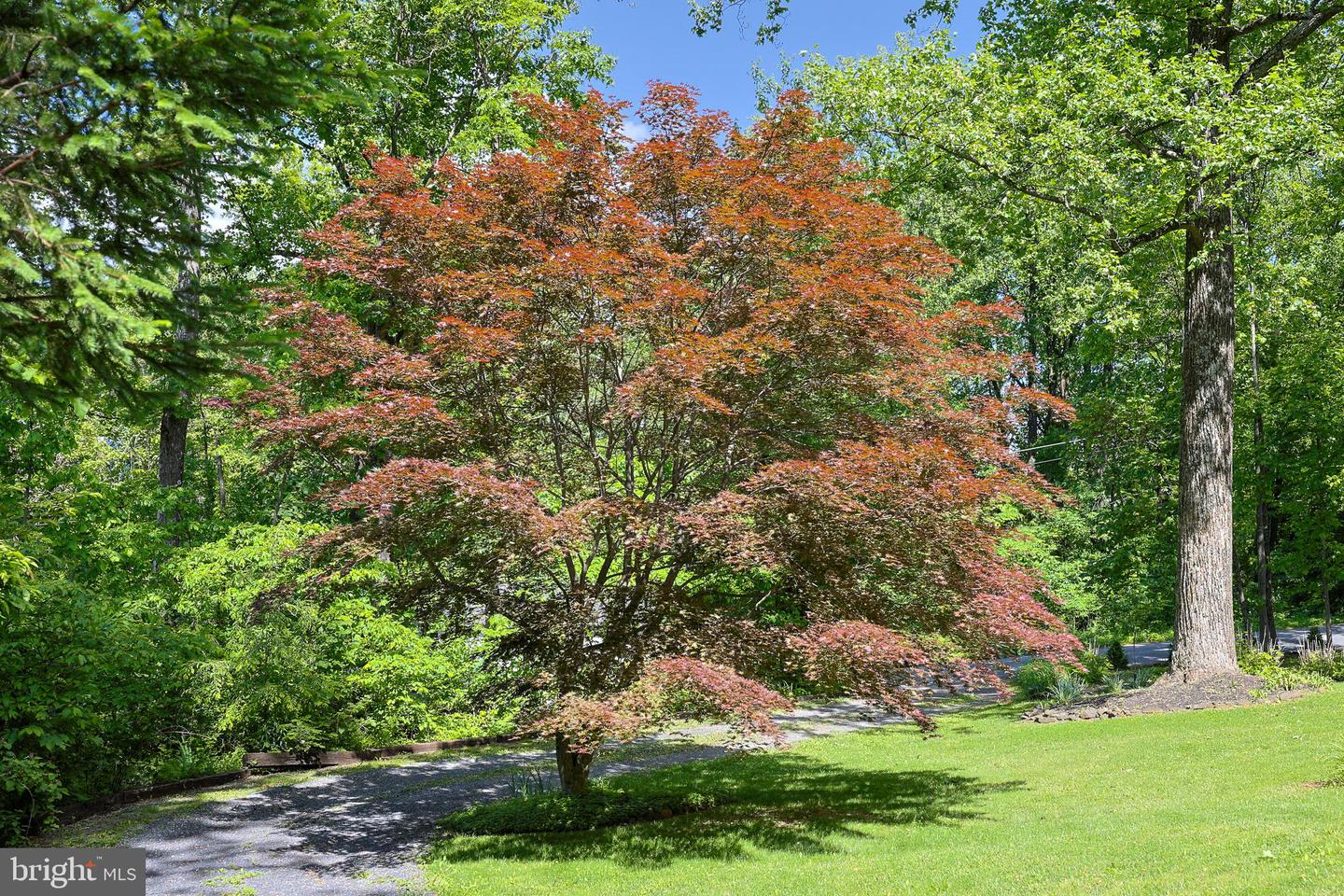 175 MOUNTAIN HEIGHTS RD, FRONT ROYAL, Virginia 22630, 2 Bedrooms Bedrooms, 9 Rooms Rooms,2 BathroomsBathrooms,Residential,For sale,175 MOUNTAIN HEIGHTS RD,VAWR2011142 MLS # VAWR2011142 175 MOUNTAIN HEIGHTS RD, FRONT ROYAL, Virginia 22630, 2 Bedrooms Bedrooms, 9 Rooms Rooms,2 BathroomsBathrooms,Residential,For sale,175 MOUNTAIN HEIGHTS RD,VAWR2011142 MLS # VAWR2011142