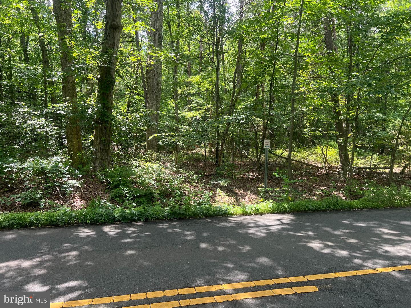 10301 BELMONT BLVD, LORTON, Virginia 22079, ,Land,For sale,10301 BELMONT BLVD,VAFX2246634 MLS # VAFX2246634