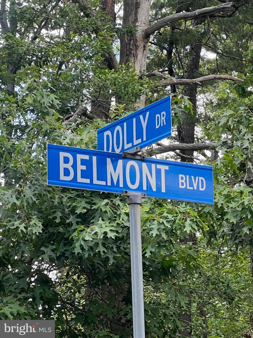 10301 BELMONT BLVD, LORTON, Virginia 22079, ,Land,For sale,10301 BELMONT BLVD,VAFX2246634 MLS # VAFX2246634