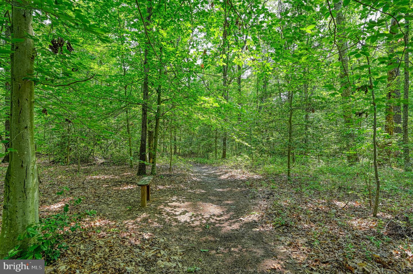 7830 ALSOP WAY, SPOTSYLVANIA, Virginia 22551, 4 Bedrooms Bedrooms, ,4 BathroomsBathrooms,Residential,For sale,7830 ALSOP WAY,VASP2033852 MLS # VASP2033852