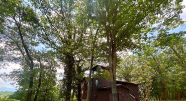 53 LEIGH CT, BASYE, Virginia 22810, 5 Bedrooms Bedrooms, ,2 BathroomsBathrooms,Residential,For sale,53 LEIGH CT,VASH2011690 MLS # VASH2011690