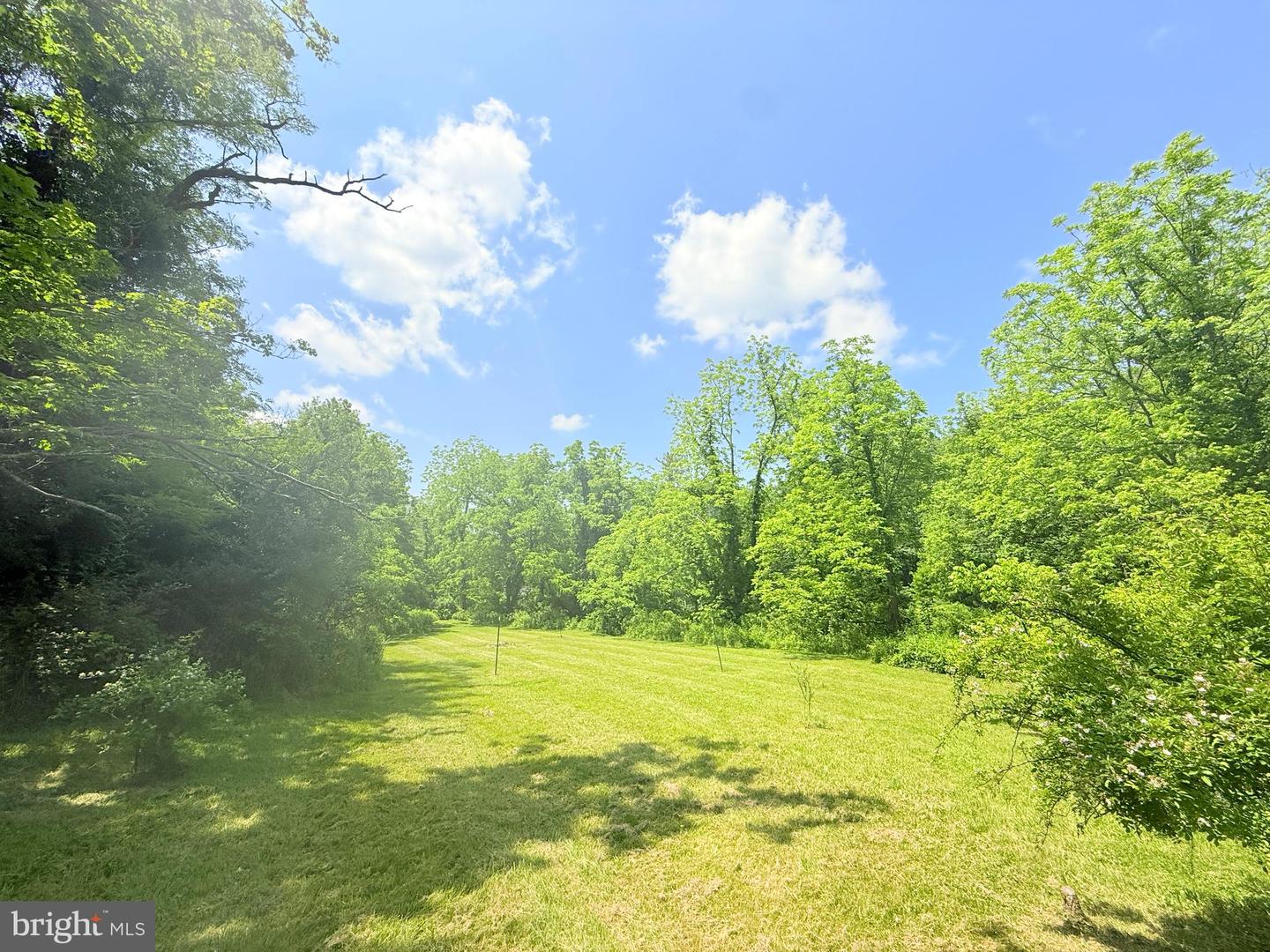 12509 SAM SNEAD HWY, WARM SPRINGS, Virginia 24484, 6 Bedrooms Bedrooms, 12 Rooms Rooms,3 BathroomsBathrooms,Residential,For sale,12509 SAM SNEAD HWY,VABT2000038 MLS # VABT2000038