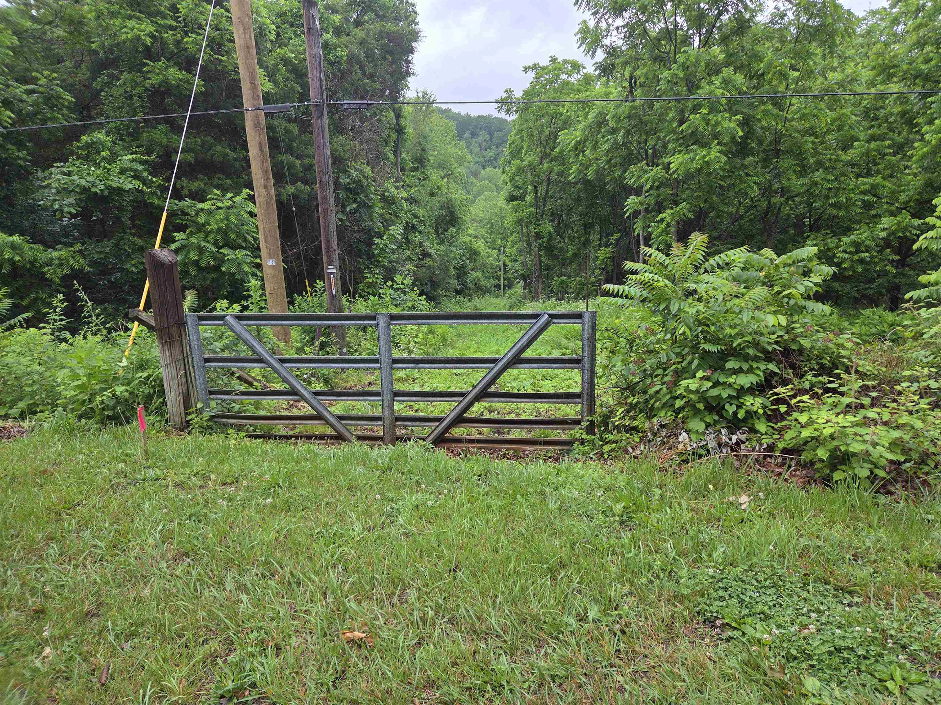 900 SANDY BOTTOM RD, ELKTON, Virginia 22827, ,Land,Vincent Hensley,900 SANDY BOTTOM RD,665632 MLS # 665632