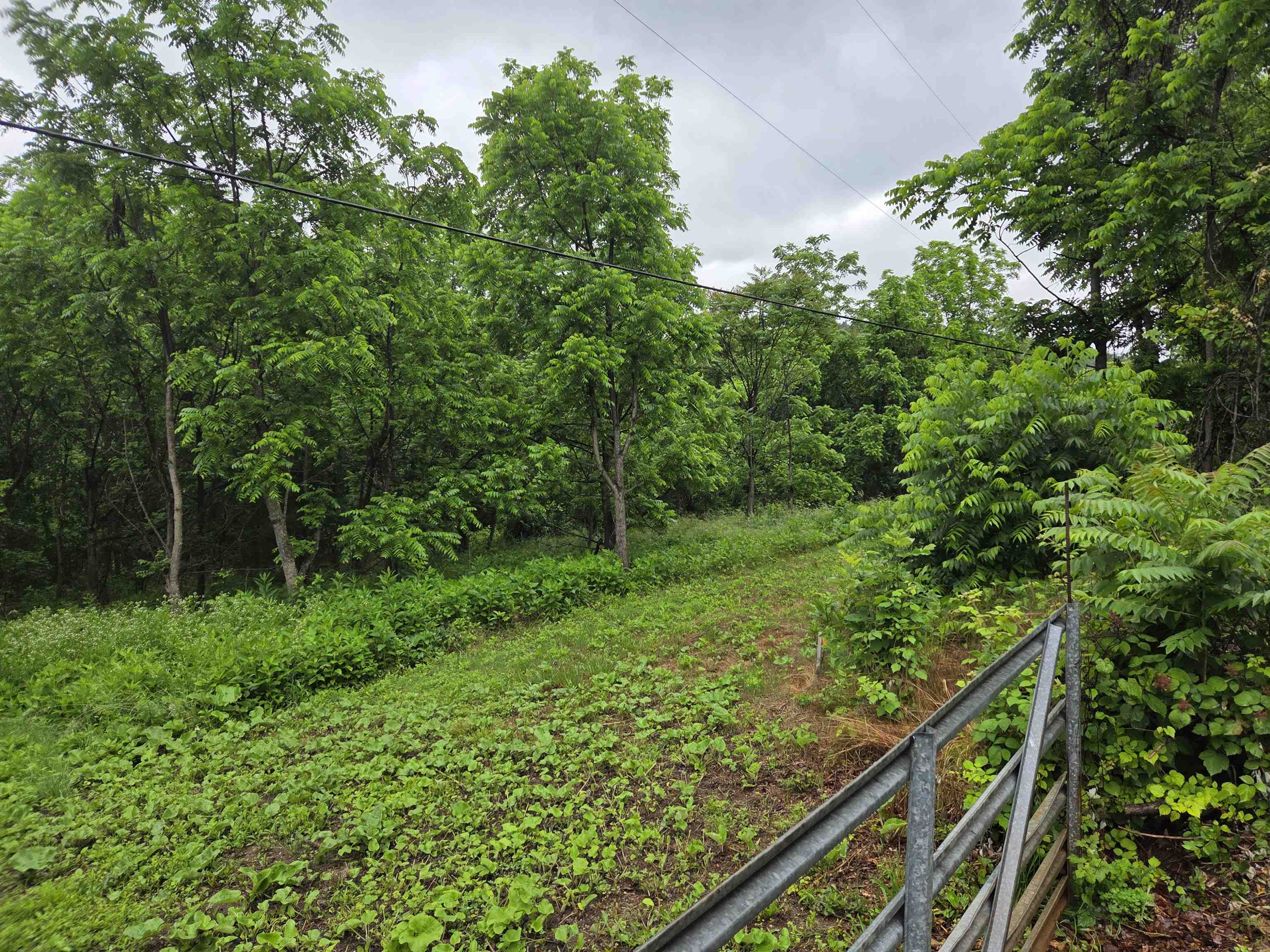 900 SANDY BOTTOM RD, ELKTON, Virginia 22827, ,Land,Vincent Hensley,900 SANDY BOTTOM RD,665632 MLS # 665632