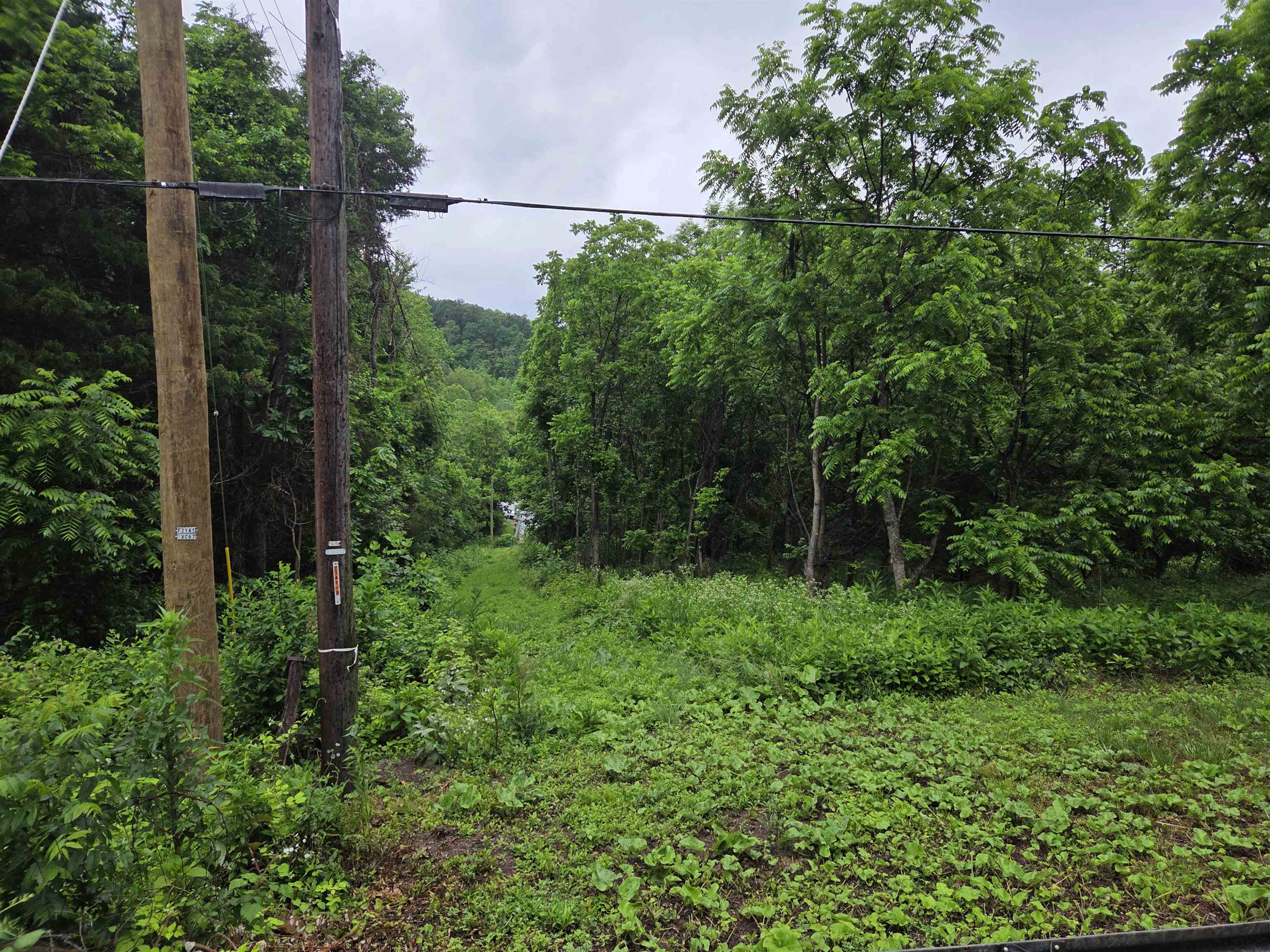900 SANDY BOTTOM RD, ELKTON, Virginia 22827, ,Land,Vincent Hensley,900 SANDY BOTTOM RD,665632 MLS # 665632