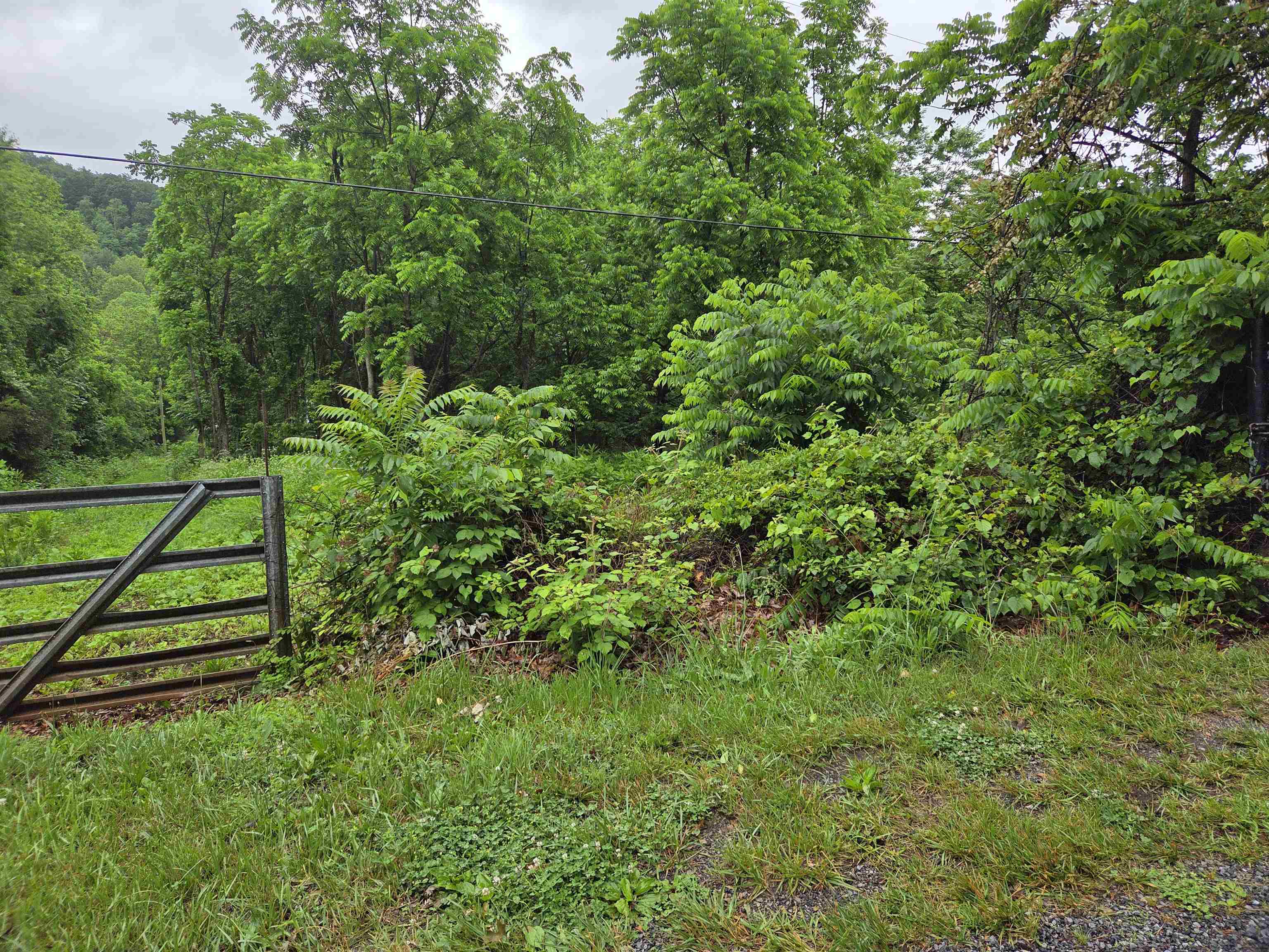 900 SANDY BOTTOM RD, ELKTON, Virginia 22827, ,Land,Vincent Hensley,900 SANDY BOTTOM RD,665632 MLS # 665632
