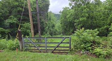 900 SANDY BOTTOM RD, ELKTON, Virginia 22827, ,Land,Vincent Hensley,900 SANDY BOTTOM RD,665632 MLS # 665632