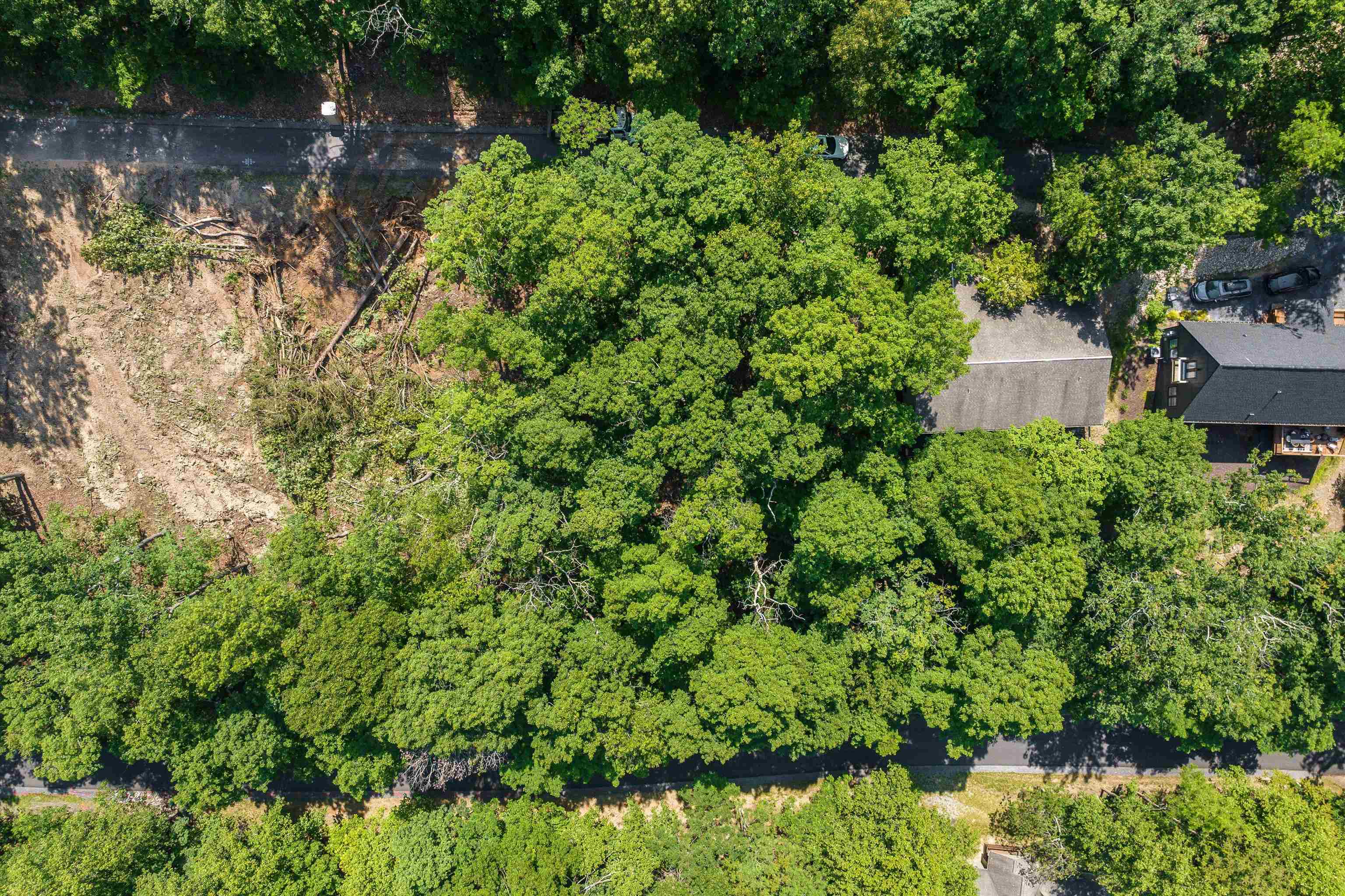 CASPER CT, MCGAHEYSVILLE, Virginia 22840, ,Land,CASPER CT,665652 MLS # 665652
