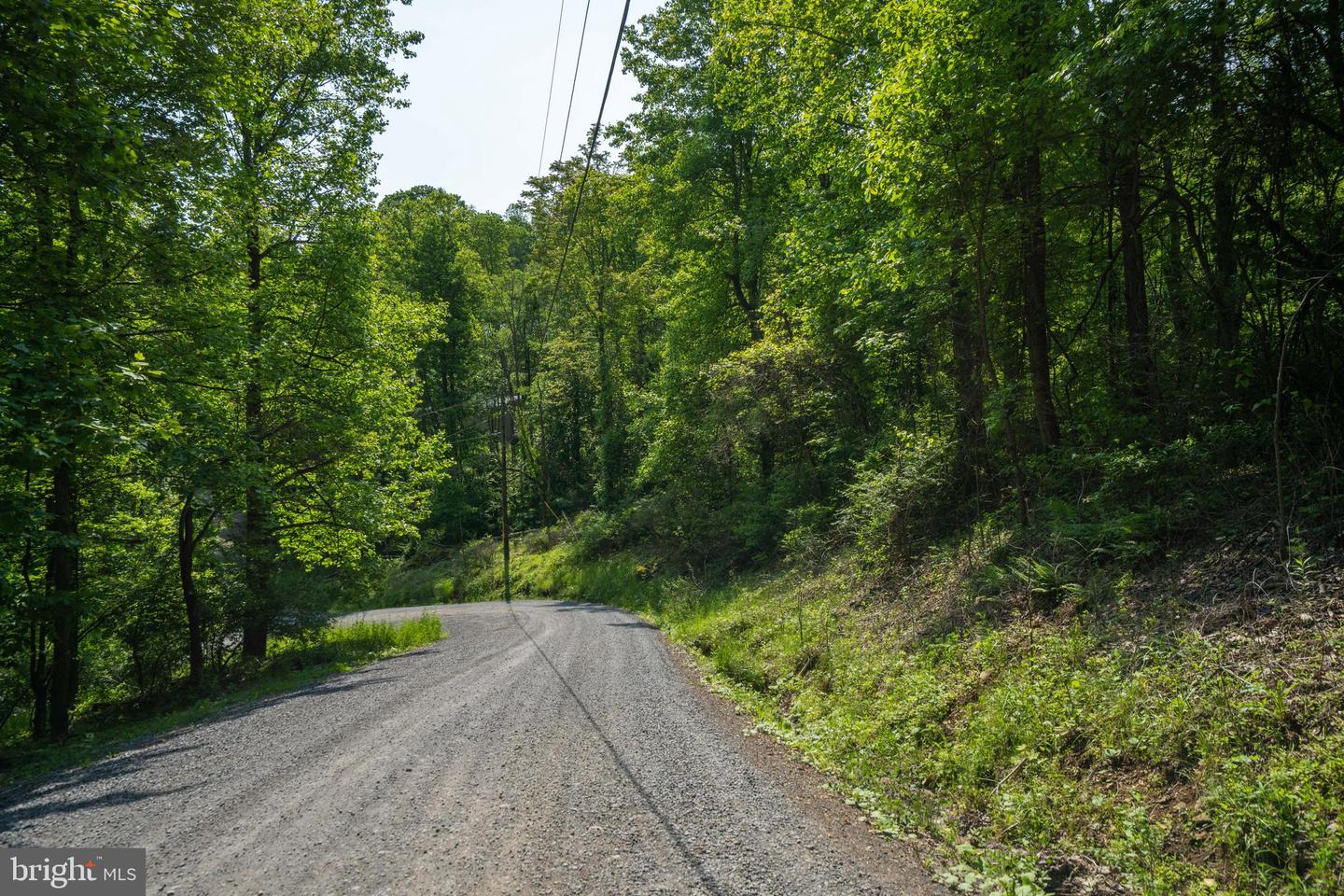 LOT D45-49, STANLEY, Virginia 22851, ,Land,For sale,LOT D45-49,VAPA2004974 MLS # VAPA2004974