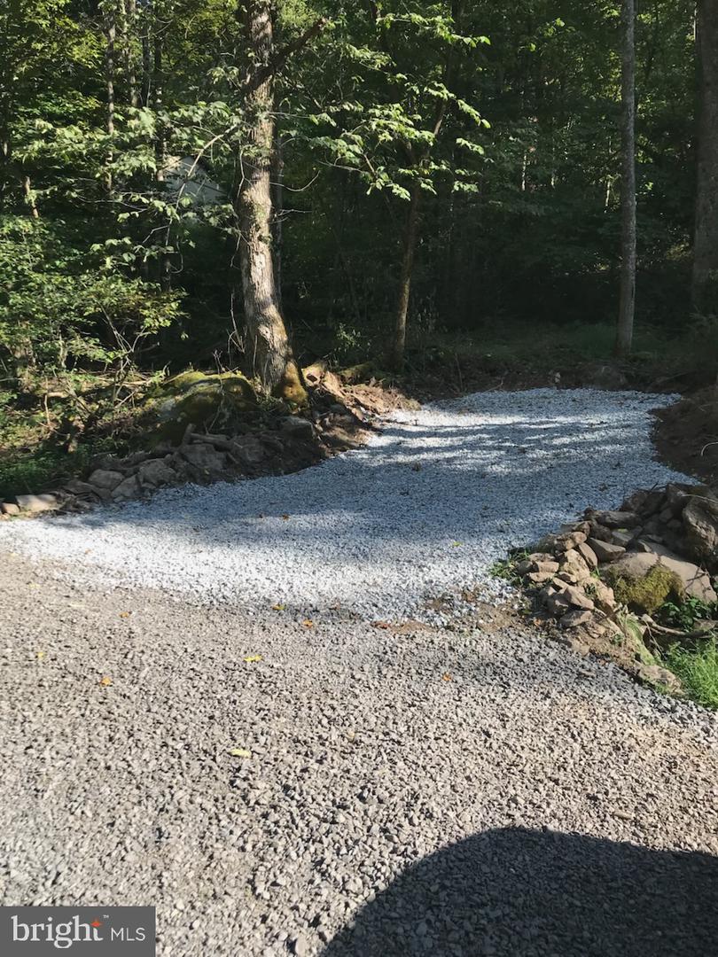 LOT D45-49, STANLEY, Virginia 22851, ,Land,For sale,LOT D45-49,VAPA2004974 MLS # VAPA2004974 LOT D45-49, STANLEY, Virginia 22851, ,Land,For sale,LOT D45-49,VAPA2004974 MLS # VAPA2004974