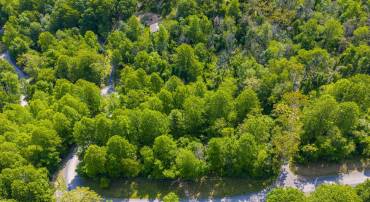 LOT D45-49, STANLEY, Virginia 22851, ,Land,For sale,LOT D45-49,VAPA2004974 MLS # VAPA2004974