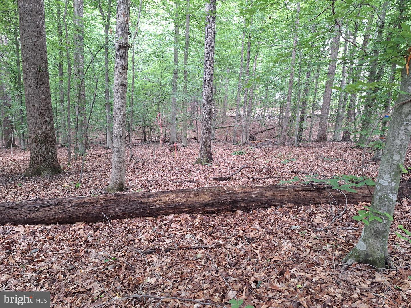 0 ALBANO RD, BARBOURSVILLE, Virginia 22923, ,Land,For sale,0 ALBANO RD,VAOR2009906 MLS # VAOR2009906