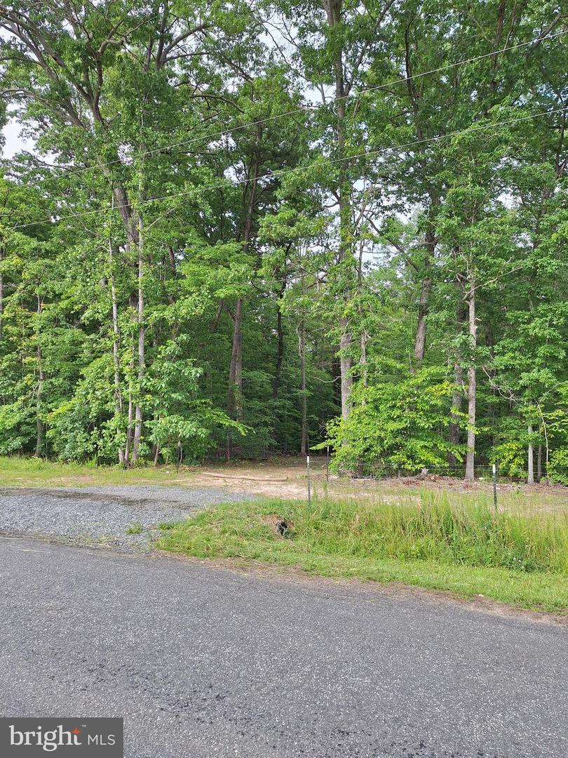0 ALBANO RD, BARBOURSVILLE, Virginia 22923, ,Land,For sale,0 ALBANO RD,VAOR2009906 MLS # VAOR2009906