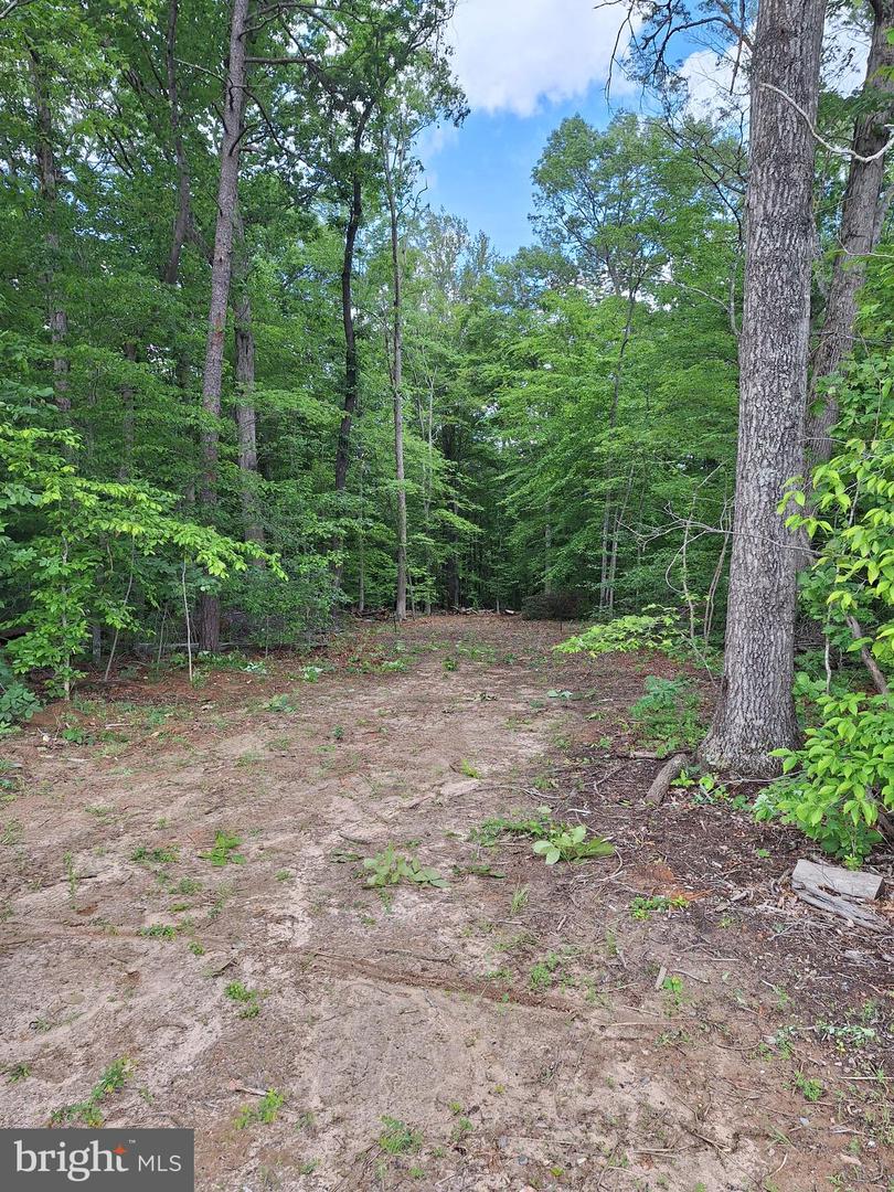 0 ALBANO RD, BARBOURSVILLE, Virginia 22923, ,Land,For sale,0 ALBANO RD,VAOR2009906 MLS # VAOR2009906