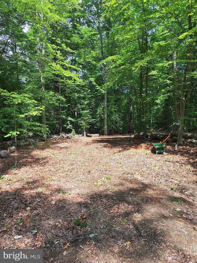 0 ALBANO RD, BARBOURSVILLE, Virginia 22923, ,Land,For sale,0 ALBANO RD,VAOR2009906 MLS # VAOR2009906