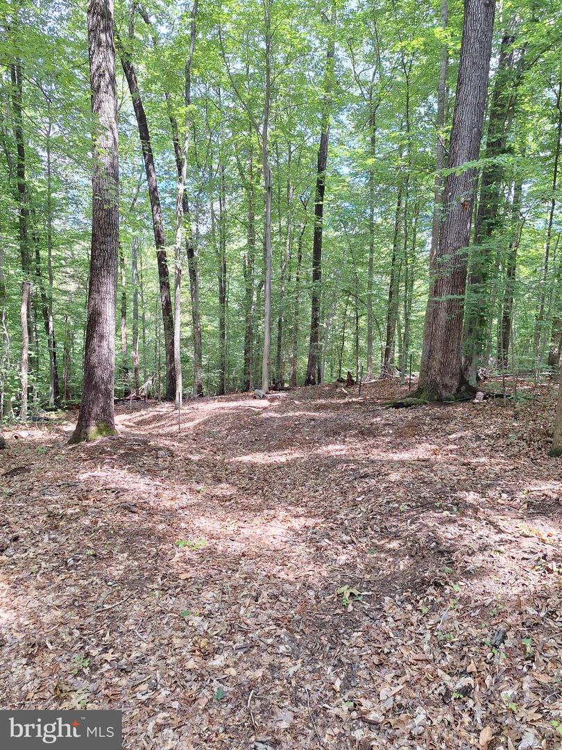 0 ALBANO RD, BARBOURSVILLE, Virginia 22923, ,Land,For sale,0 ALBANO RD,VAOR2009906 MLS # VAOR2009906