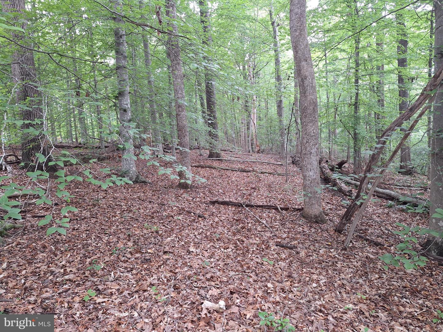 0 ALBANO RD, BARBOURSVILLE, Virginia 22923, ,Land,For sale,0 ALBANO RD,VAOR2009906 MLS # VAOR2009906
