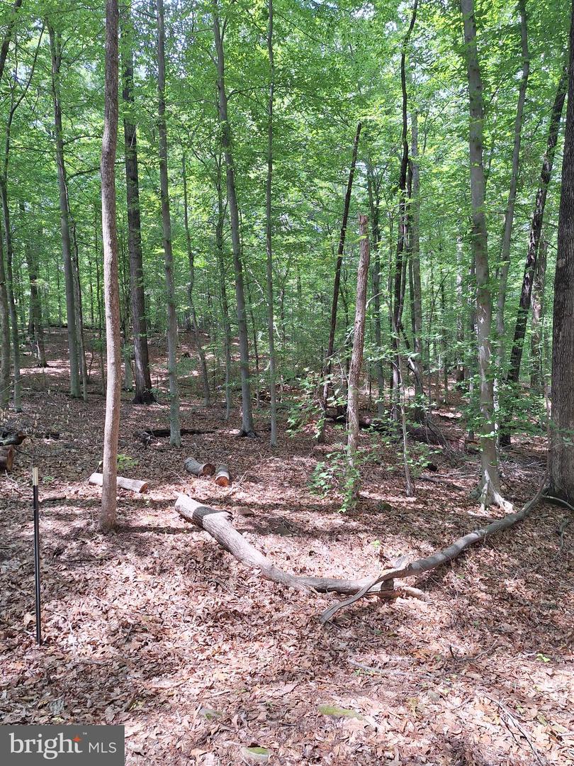 0 ALBANO RD, BARBOURSVILLE, Virginia 22923, ,Land,For sale,0 ALBANO RD,VAOR2009906 MLS # VAOR2009906