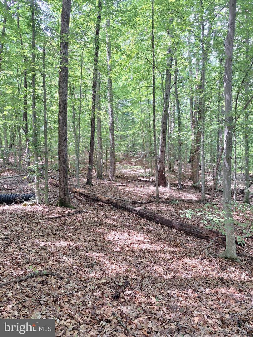 0 ALBANO RD, BARBOURSVILLE, Virginia 22923, ,Land,For sale,0 ALBANO RD,VAOR2009906 MLS # VAOR2009906