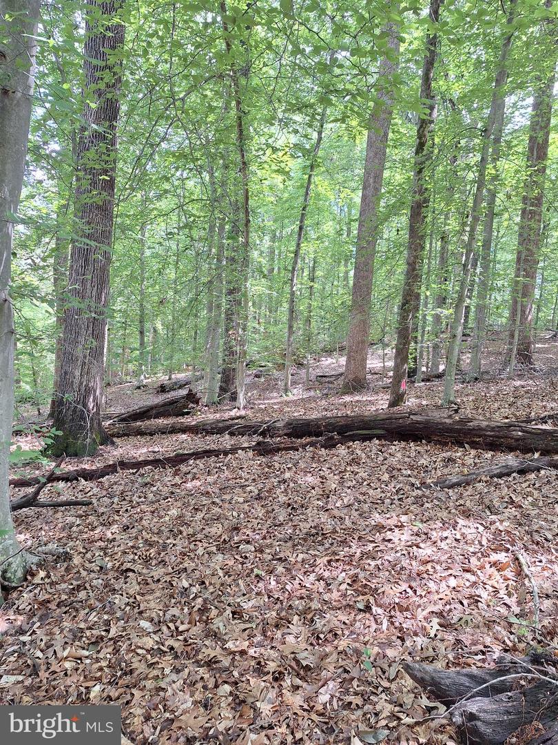 0 ALBANO RD, BARBOURSVILLE, Virginia 22923, ,Land,For sale,0 ALBANO RD,VAOR2009906 MLS # VAOR2009906