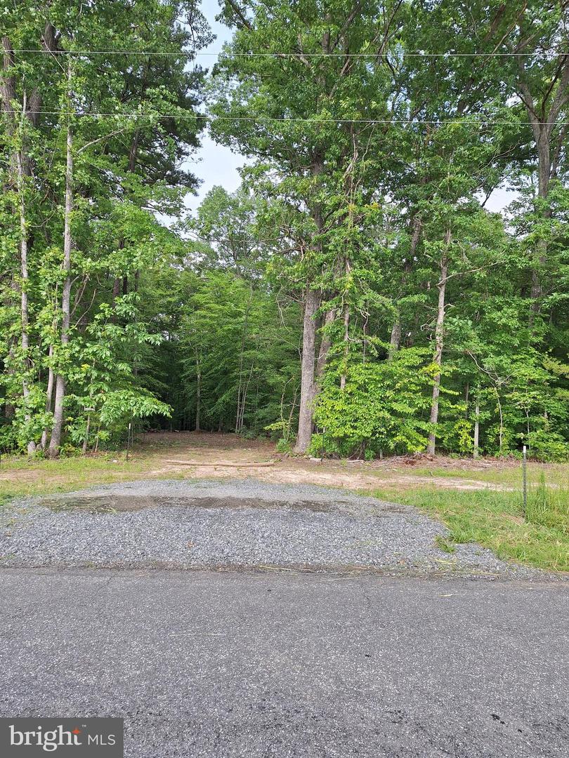 0 ALBANO RD, BARBOURSVILLE, Virginia 22923, ,Land,For sale,0 ALBANO RD,VAOR2009906 MLS # VAOR2009906