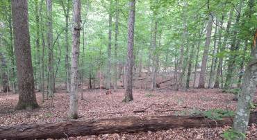 0 ALBANO RD, BARBOURSVILLE, Virginia 22923, ,Land,For sale,0 ALBANO RD,VAOR2009906 MLS # VAOR2009906