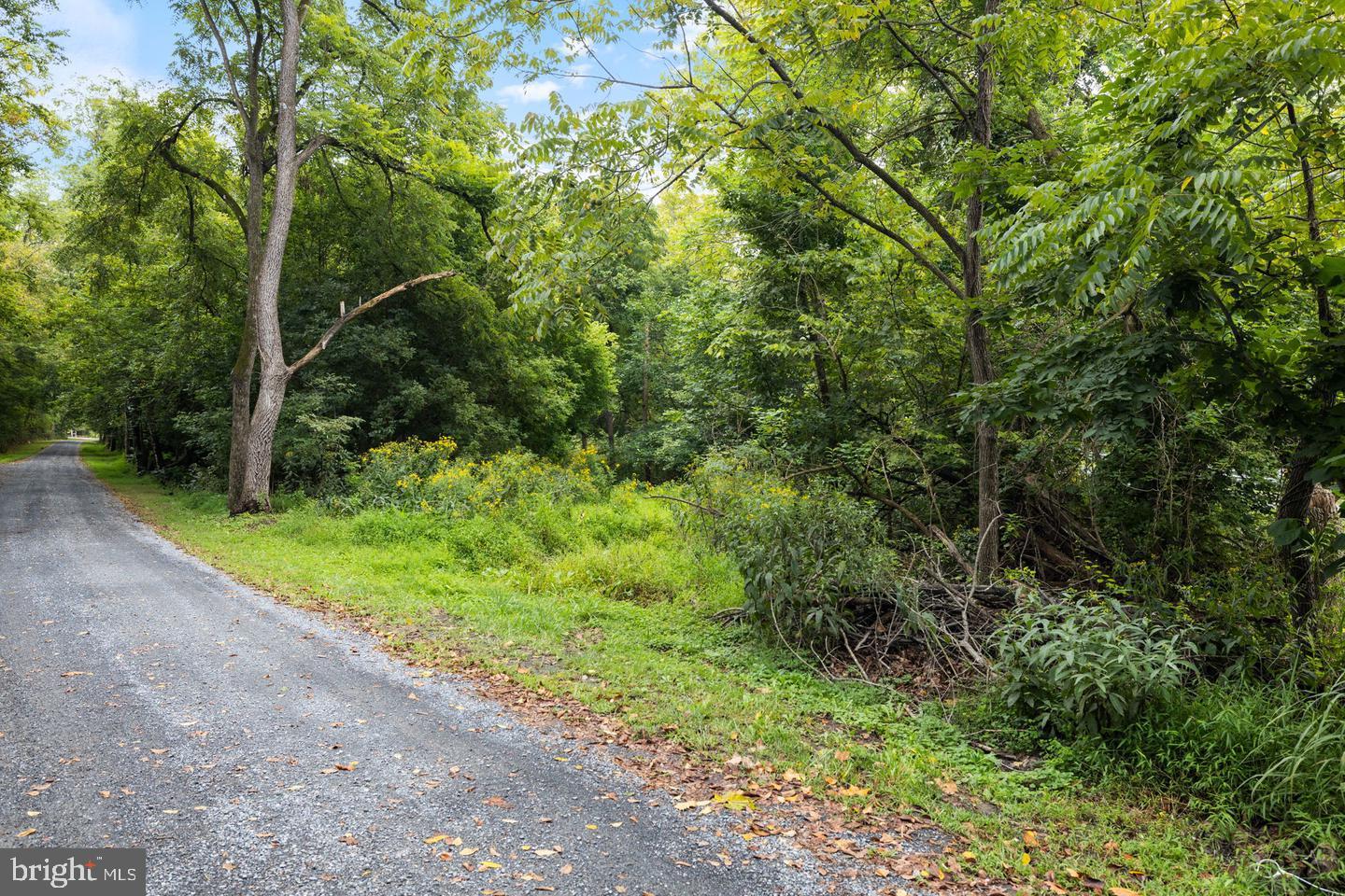GUINEA BRIDGE, PURCELLVILLE, Virginia 20132, ,Land,For sale,GUINEA BRIDGE,VALO2099260 MLS # VALO2099260
