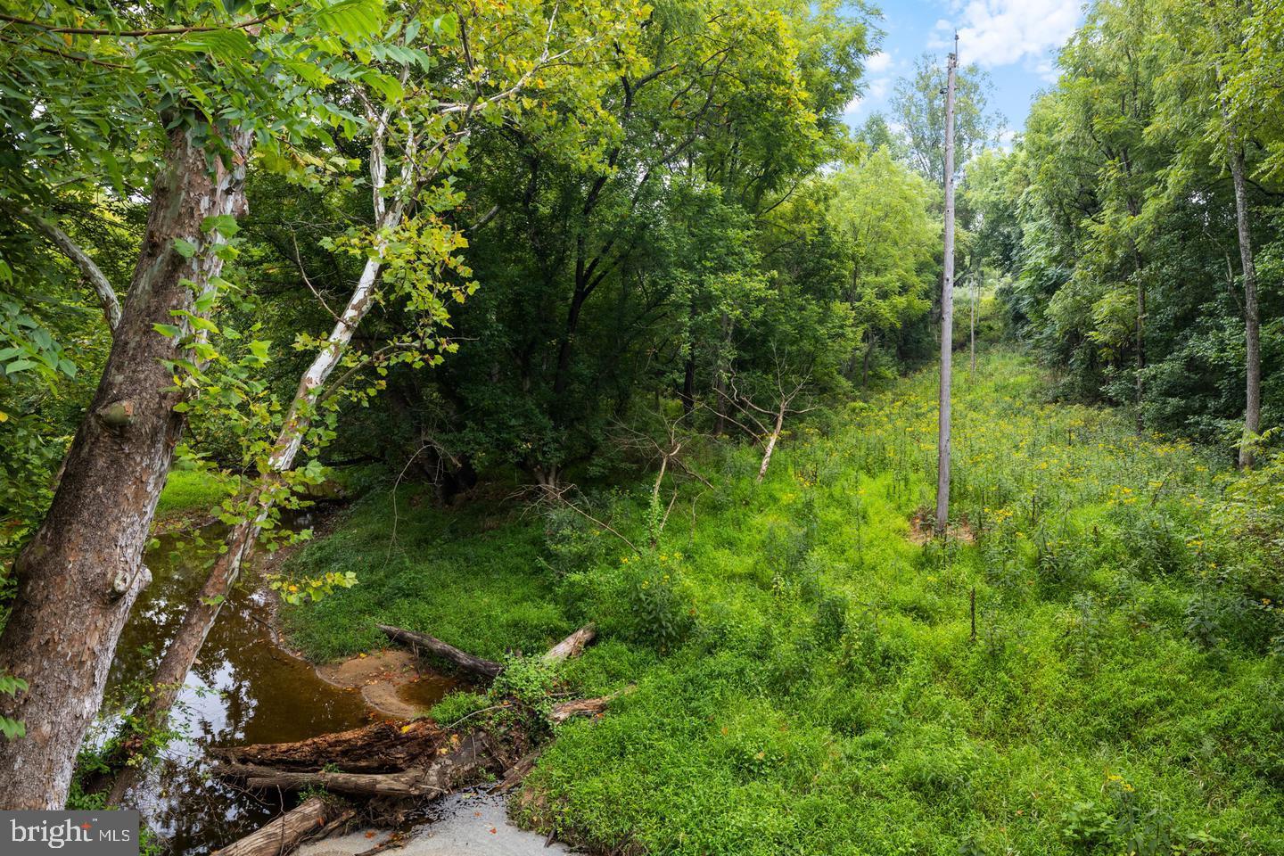 GUINEA BRIDGE, PURCELLVILLE, Virginia 20132, ,Land,For sale,GUINEA BRIDGE,VALO2099260 MLS # VALO2099260
