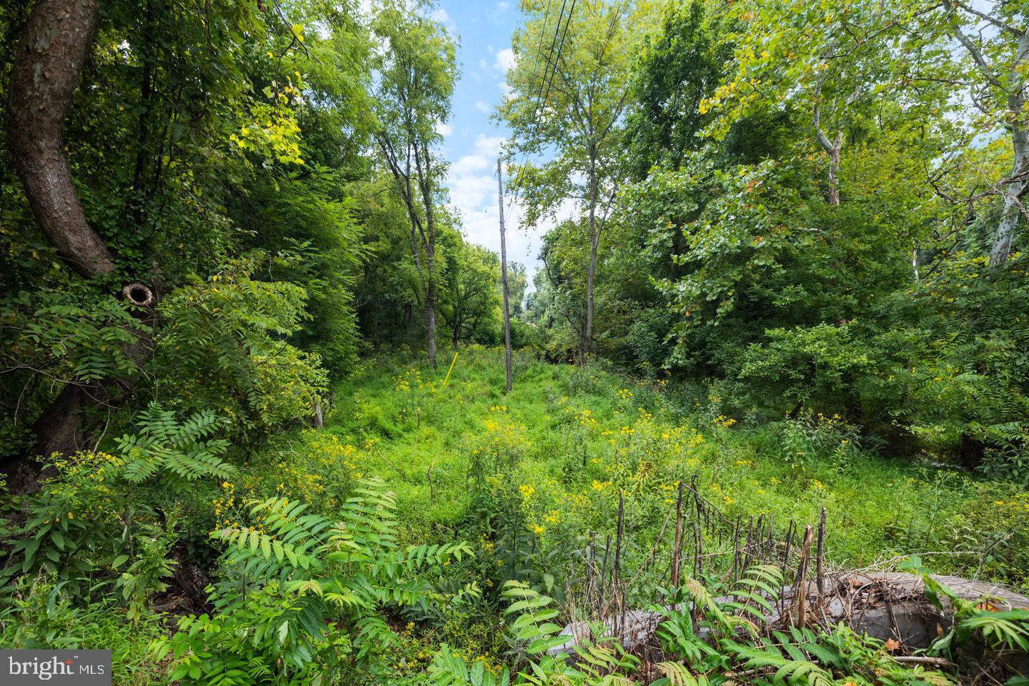 GUINEA BRIDGE, PURCELLVILLE, Virginia 20132, ,Land,For sale,GUINEA BRIDGE,VALO2099260 MLS # VALO2099260