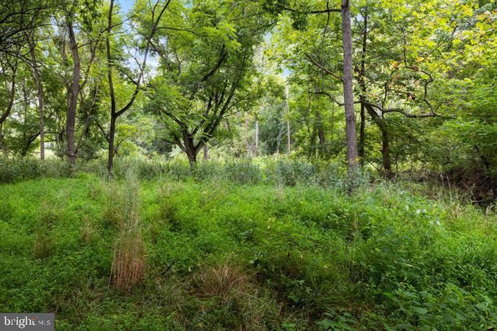 GUINEA BRIDGE, PURCELLVILLE, Virginia 20132, ,Land,For sale,GUINEA BRIDGE,VALO2099260 MLS # VALO2099260