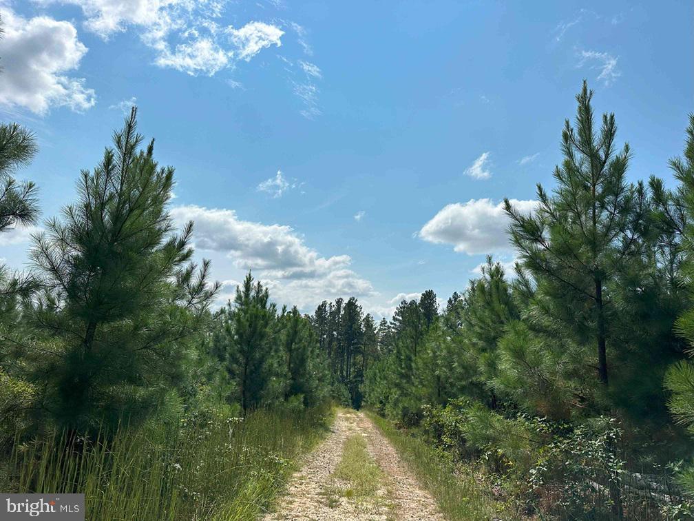 DAVIS LOWGROUND ROAD (TRACT: BIG JUNIPER-1), KEYSVILLE, Virginia 23947, ,Farm,For sale,DAVIS LOWGROUND ROAD (TRACT: BIG JUNIPER-1),VALB2000050 MLS # VALB2000050