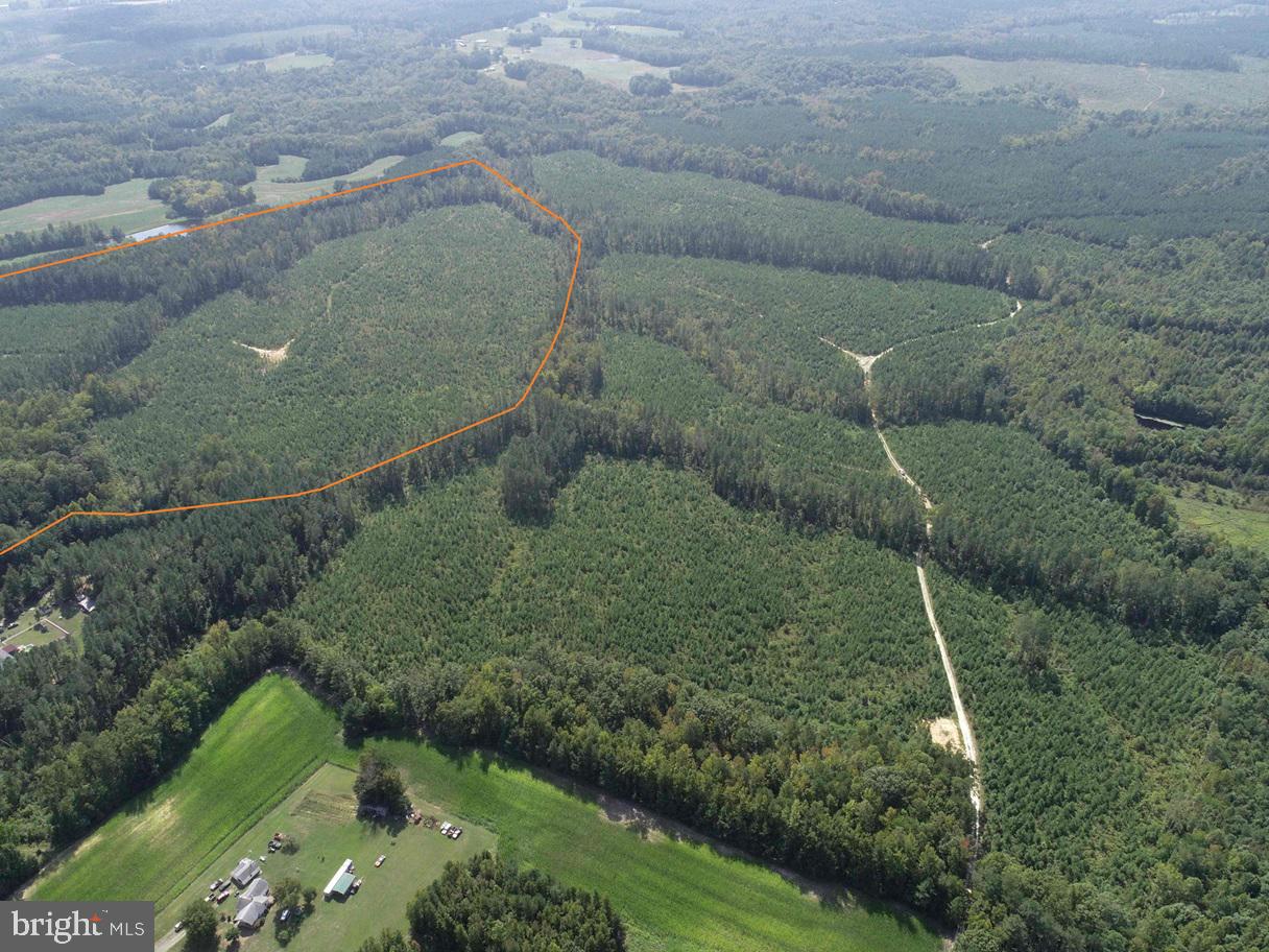 DAVIS LOWGROUND ROAD (TRACT: BIG JUNIPER-1), KEYSVILLE, Virginia 23947, ,Farm,For sale,DAVIS LOWGROUND ROAD (TRACT: BIG JUNIPER-1),VALB2000050 MLS # VALB2000050