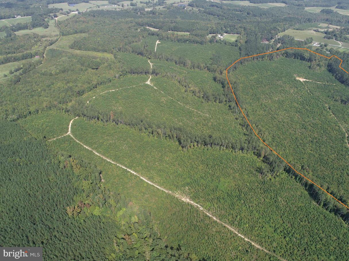 DAVIS LOWGROUND ROAD (TRACT: BIG JUNIPER-1), KEYSVILLE, Virginia 23947, ,Farm,For sale,DAVIS LOWGROUND ROAD (TRACT: BIG JUNIPER-1),VALB2000050 MLS # VALB2000050