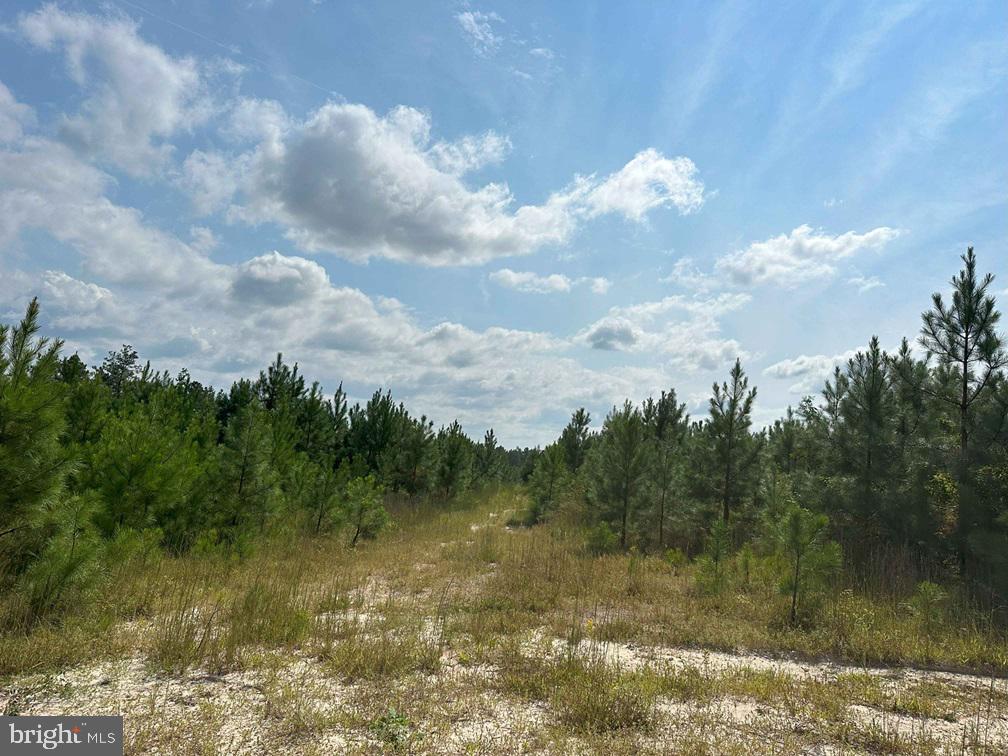 DAVIS LOWGROUND ROAD (TRACT: BIG JUNIPER-1), KEYSVILLE, Virginia 23947, ,Farm,For sale,DAVIS LOWGROUND ROAD (TRACT: BIG JUNIPER-1),VALB2000050 MLS # VALB2000050