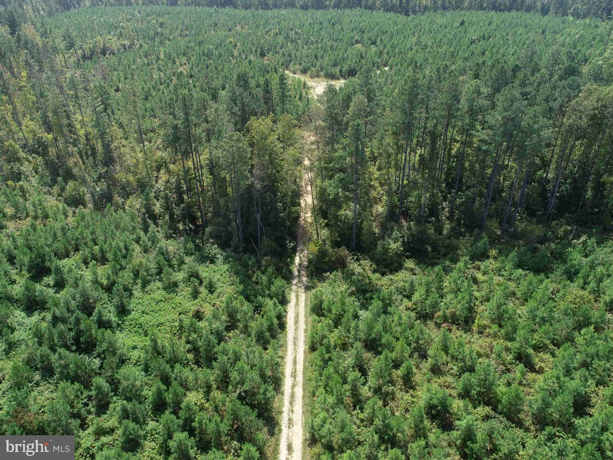 DAVIS LOWGROUND ROAD (TRACT: BIG JUNIPER-1), KEYSVILLE, Virginia 23947, ,Farm,For sale,DAVIS LOWGROUND ROAD (TRACT: BIG JUNIPER-1),VALB2000050 MLS # VALB2000050