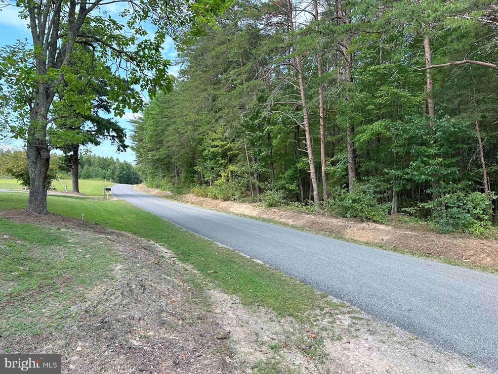DAVIS LOWGROUND ROAD (TRACT: BIG JUNIPER-1), KEYSVILLE, Virginia 23947, ,Farm,For sale,DAVIS LOWGROUND ROAD (TRACT: BIG JUNIPER-1),VALB2000050 MLS # VALB2000050