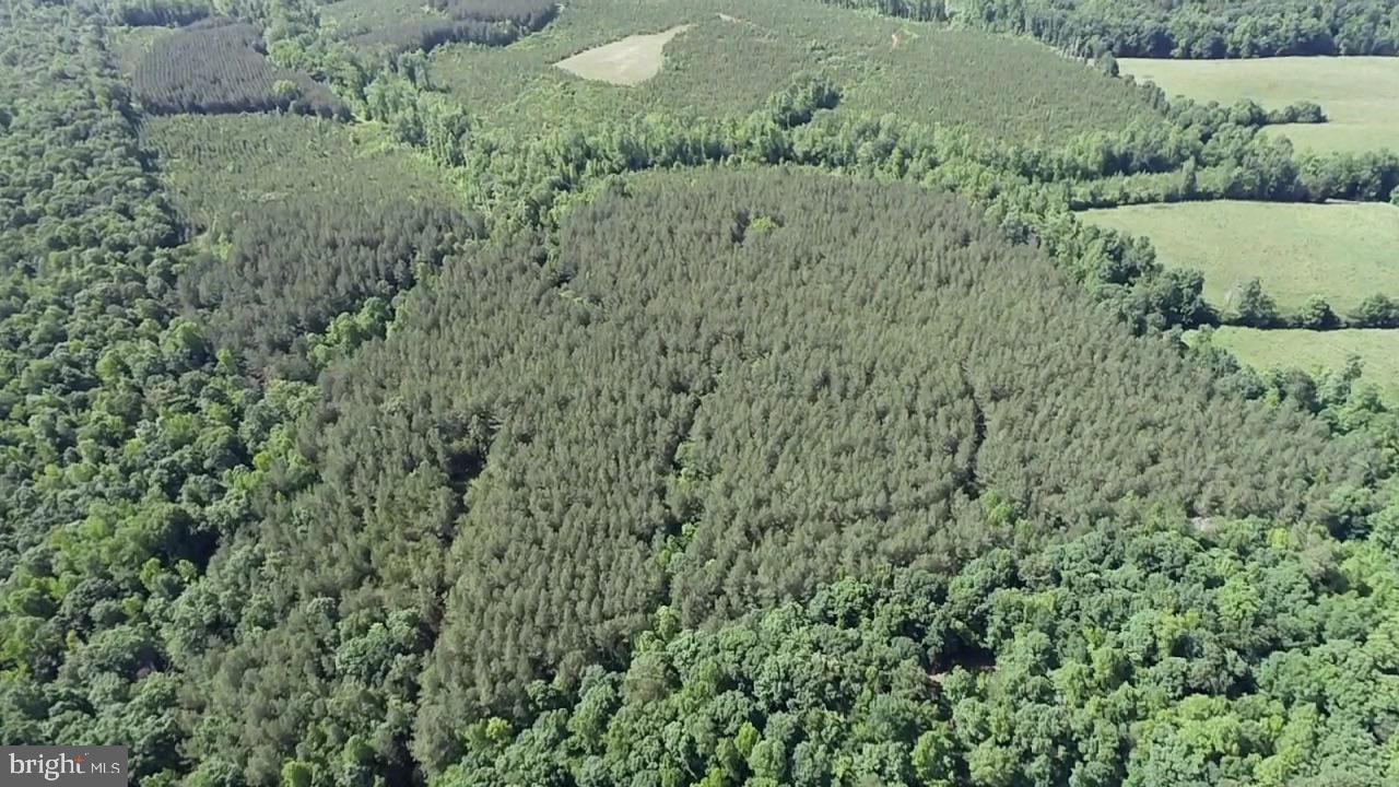 TBD SELMA RD TRACT 1, JETERSVILLE, Virginia 23083, ,Land,For sale,TBD SELMA RD TRACT 1,VAAM2000070 MLS # VAAM2000070