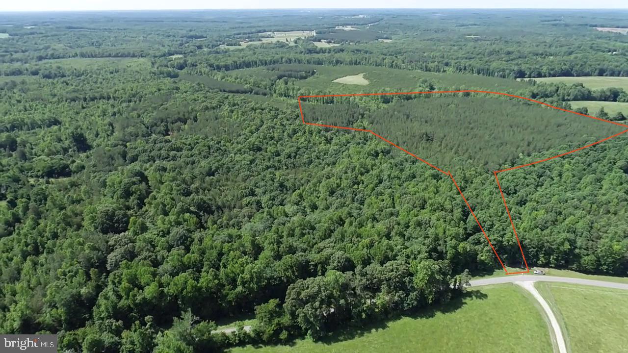 TBD SELMA RD TRACT 1, JETERSVILLE, Virginia 23083, ,Land,For sale,TBD SELMA RD TRACT 1,VAAM2000070 MLS # VAAM2000070