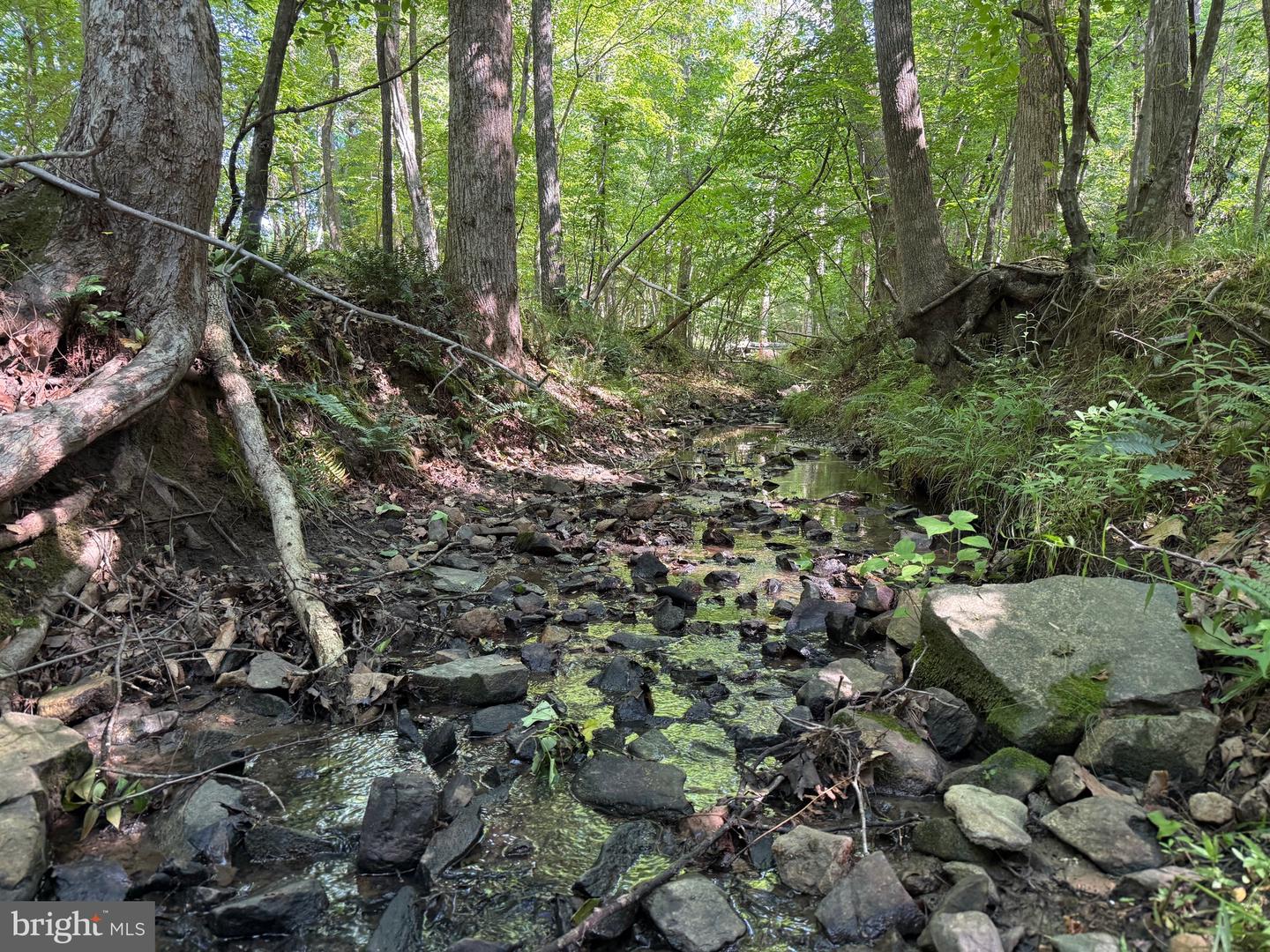 TBD SELMA RD TRACT 1, JETERSVILLE, Virginia 23083, ,Land,For sale,TBD SELMA RD TRACT 1,VAAM2000070 MLS # VAAM2000070